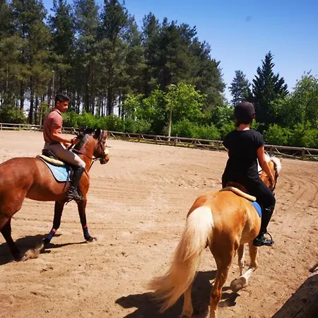 Royal In Forest 3 * Dosemealti
